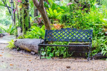 Optimize Park Management With <br> Top Maintenance Software