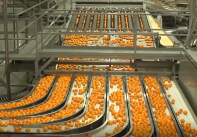 Understanding <br>Production Management